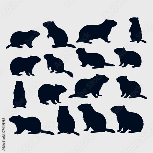 groundhog silhouette collection design © AinStory
