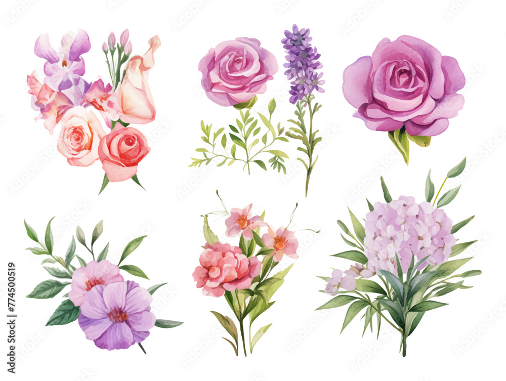 Illustration floral set.Colorful purple floral collection with leaves and flowers,drawing watercolor.Colorful floral collection with flowers beautiful bouquet.Set of floral elements.