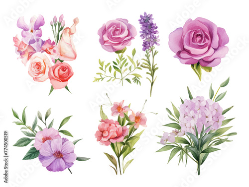 Illustration floral set.Colorful purple floral collection with leaves and flowers drawing watercolor.Colorful floral collection with flowers beautiful bouquet.Set of floral elements.