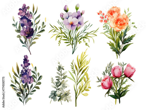 Fototapeta Naklejka Na Ścianę i Meble -  Illustration floral set.Colorful purple floral collection with leaves and flowers,drawing watercolor.Colorful floral collection with flowers beautiful bouquet.Set of floral elements.