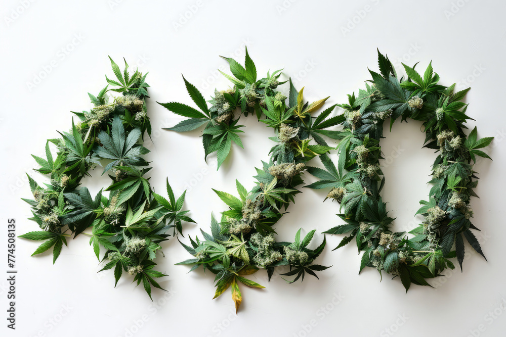 The number 420 spelled out in cannabis marijuana leaves - obrazy, fototapety, plakaty 