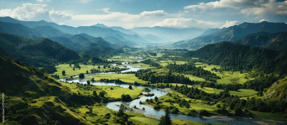 View from above, beautiful natural river in green forest with mountains in the background