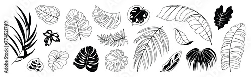 Tropical leaves hand drawn line art and silhouette vector set. Collection of leaf branch, monstera, palm leaves black white drawing contour simple style. Design illustration for print, logo, branding.