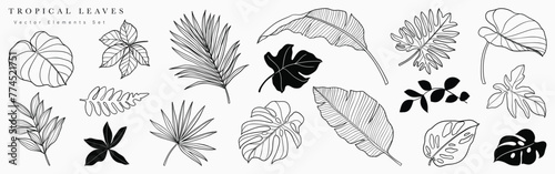 Tropical leaves hand drawn line art and silhouette vector set. Collection of leaf branch, monstera, palm leaves black white drawing contour simple style. Design illustration for print, logo, branding.