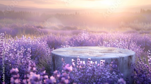 A vintage podium handpainted with faded lavender flowers stands proudly in a field of purple blooms. The sun casts a warm glow over . .