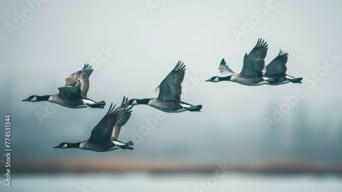 A flock of birds flying in formation  AI generated illustration