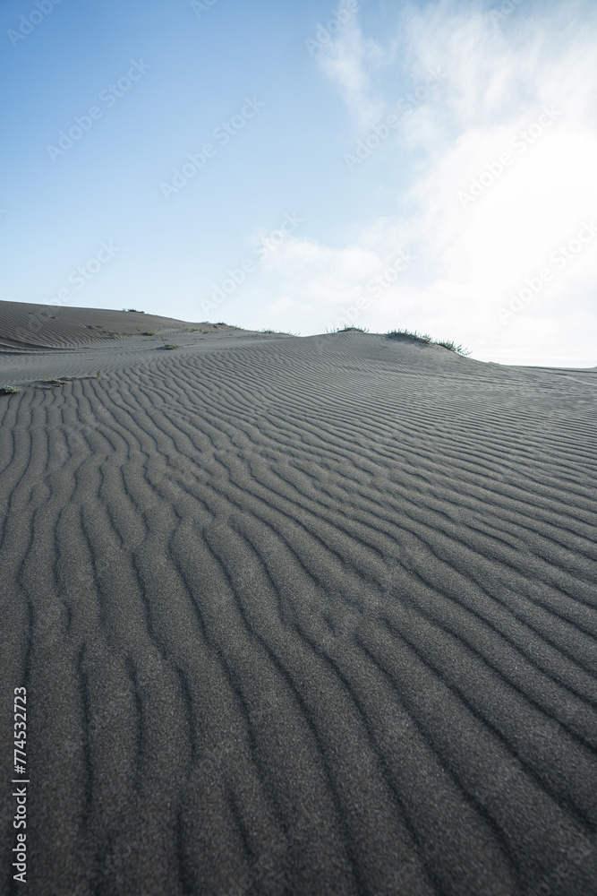 Naklejka premium sand dunes in the desert