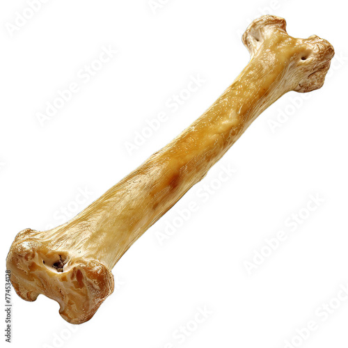 Bone Dog Isolated