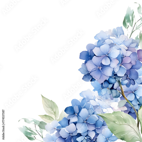 Hydrangea corner border. Watercolor botanical banner for the design of invitations, cards, congratulations, announcements, sales, stationery, sharp outline