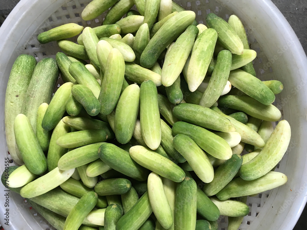 fresh green cucumber in the market
