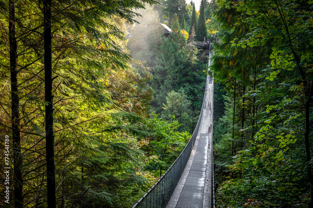 Fototapeta premium Capilano Suspension Bridge Park, a popular tourist attraction where tourists walk over river and through rainforest canopy, North Vancouver, British Columbia, Canada (October 2021)