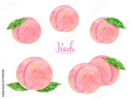 水彩で描いた桃のイラストセット