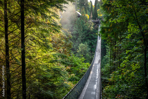 Capilano Suspension Bridge Park, a popular tourist attraction where tourists walk over river and through rainforest canopy, North Vancouver, British Columbia, Canada (October 2021) photo