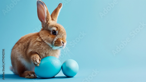 Easter bunny rabbit with blue painted egg on blue background. Easter holiday concept. Generative Ai © We3 Animal