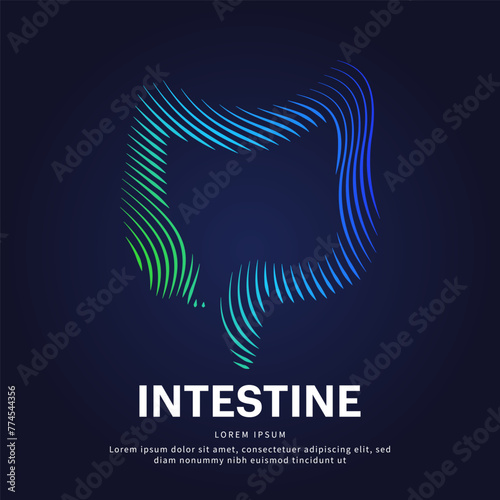 Human Intestine medical structure. Vector logo Intestines color silhouette on a dark background. Large Intestine logo vector template suitable for organization, company, or community. EPS 10