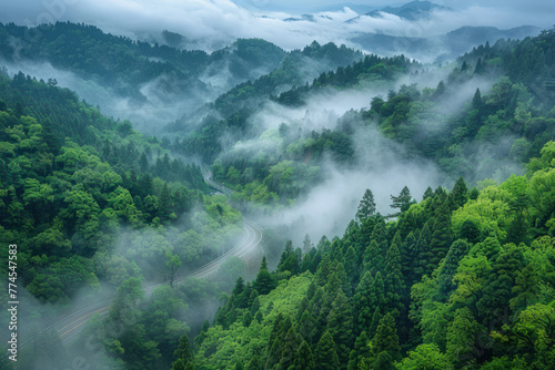 Foggy Winding highway through green forest landscape