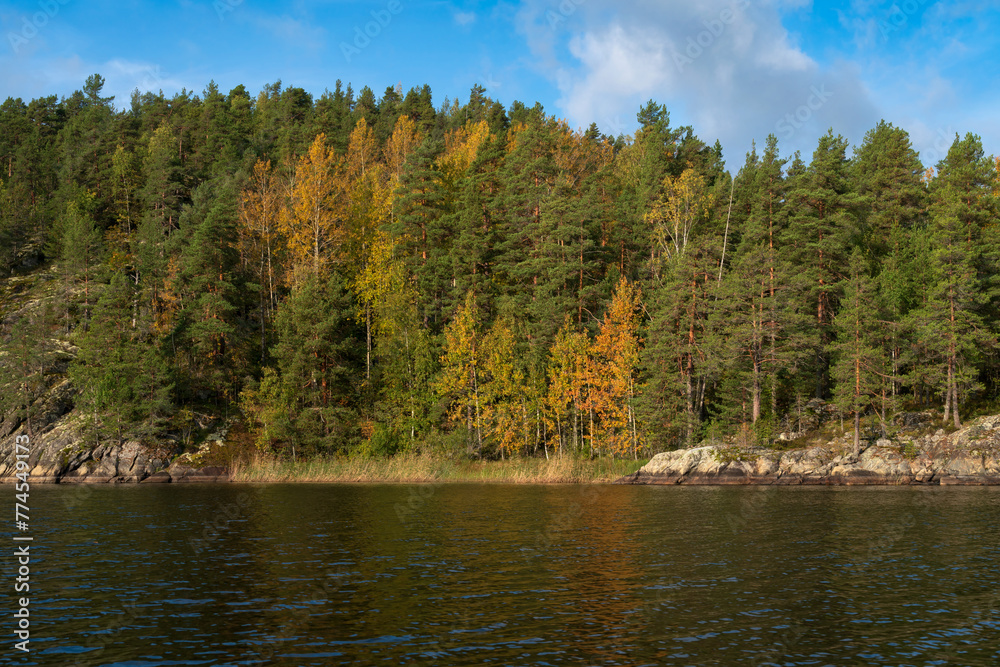 Naklejka premium Lake Ladoga near the village Lumivaara on a sunny autumn day, Ladoga skerries, Lakhdenpokhya, Republic of Karelia, Russia