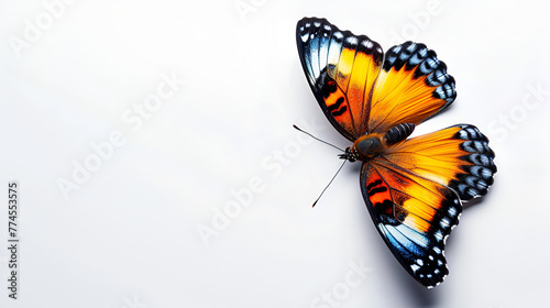 beautiful butterfly isolated on white copy space Small tortoiseshell (Aglais urticae L.) butterfly with open wings against white background , Generative Ai photo