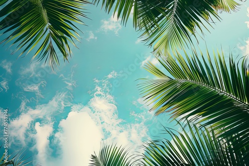 Palm Tree On Blue Sky Background