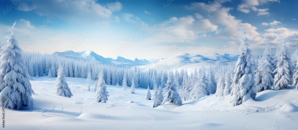 Scenic winter view of trees and snow-covered mountains in the landscape