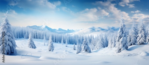 Scenic winter view of trees and snow-covered mountains in the landscape