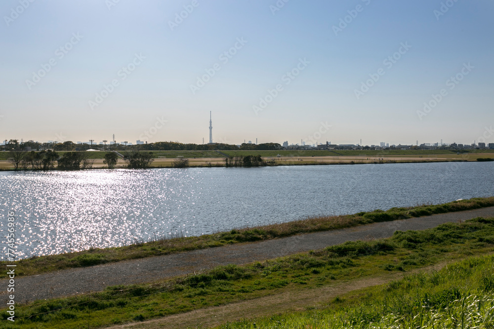 Fototapeta premium 江戸川河川敷緑地（千葉県市川市大和田５丁目）