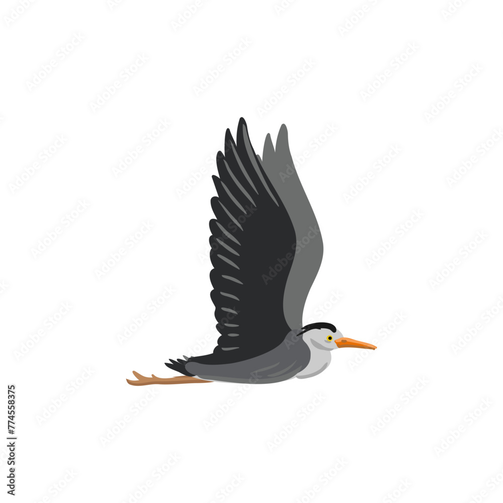 Fototapeta premium vector drawing grey heron, flying wild bird isolated at white background, hand drawn illustration