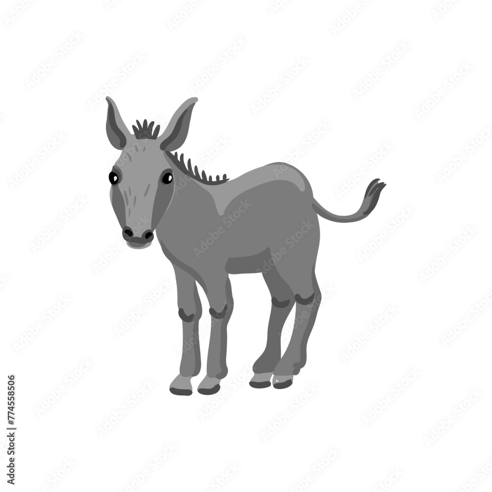 vector drawing grey donkey, farm animal isolated at white background, hand drawn illustration