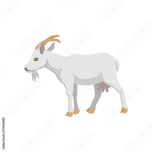 vector drawing white goat  farm animal isolated at white background  hand drawn illustration