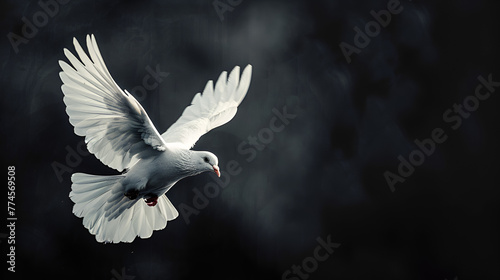 White pigeon Close-up of seagull flying against clear sky White Dove flying away, Beautiful White Dove Flapping Its Wings Isolated on Black Background Generative AI photo