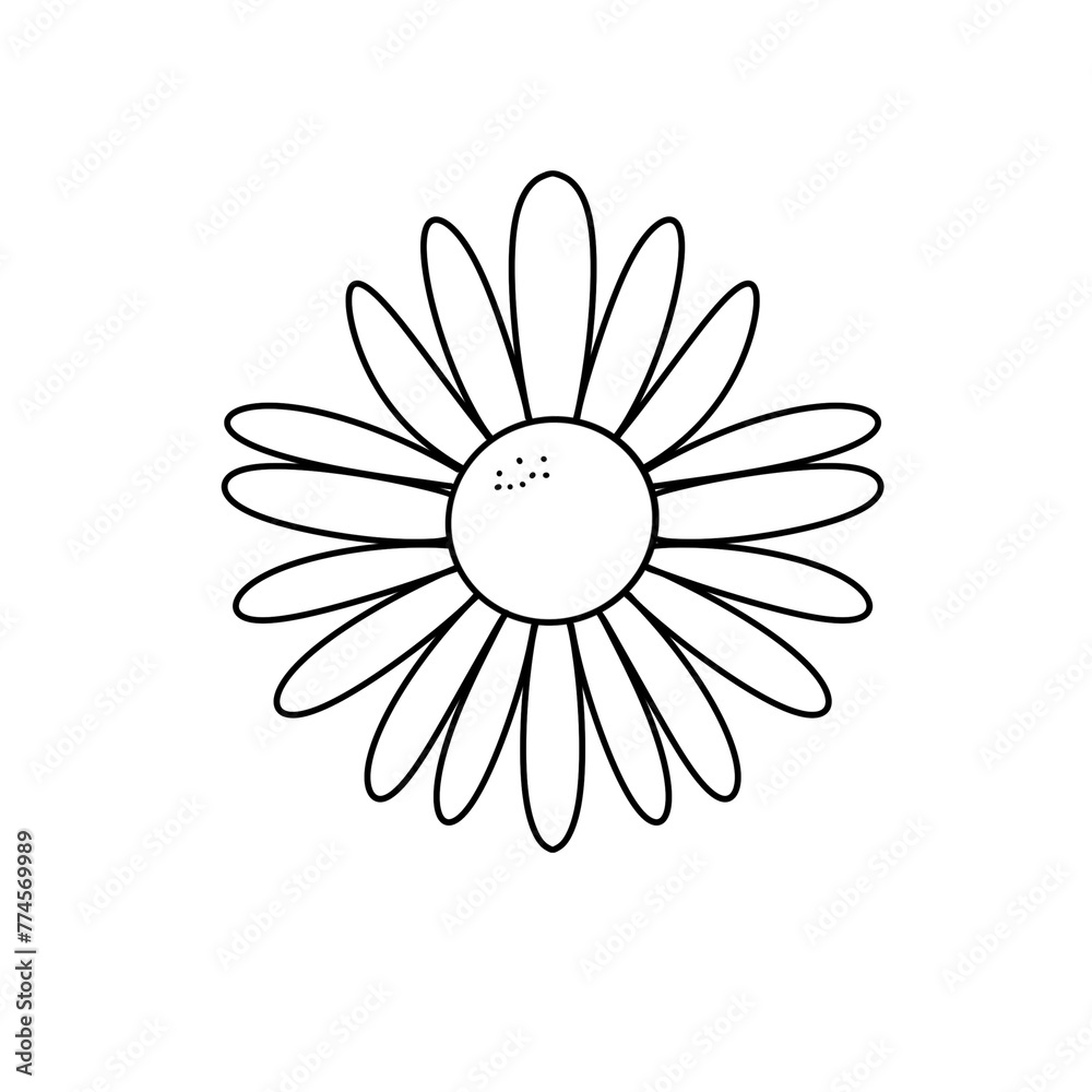 A white flower with a yellow center. The flower is simple and elegant A white flower with a yellow center. The flower is simple and elegant