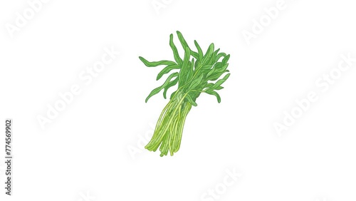 A bunch of raw water spinach
