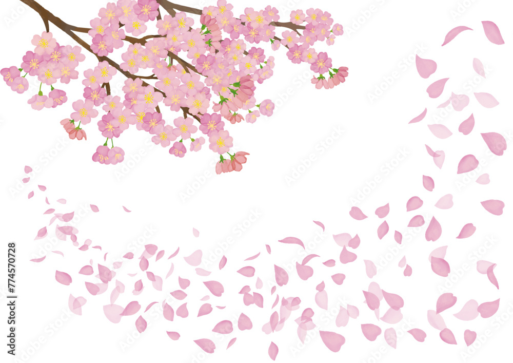 水彩風　満開の桜と桜吹雪　背景
