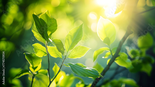 Sunlight filtering through new leaves on a tree  the light green hues symbolizing growth and new beginnings for Easter.