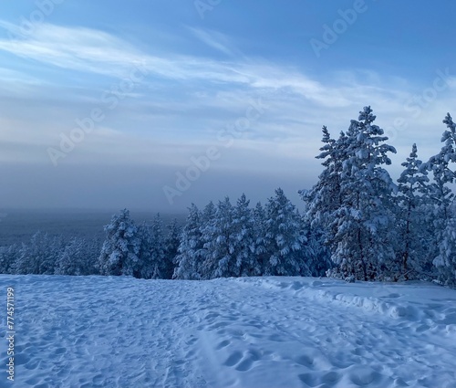 The nature winter snow forest tree landscape cold mountain sky nature trees white frost ice snowy frozen. The nature winter fir blue season ski scene xmas wood beautiful outdoor. © Aleksei