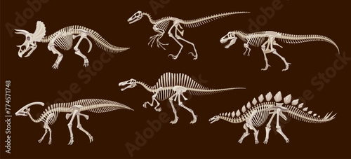 Cartoon dinosaur fossil skeletons, vector dino animals skulls and bones. Triceratops, tyrannosaurus rex, stegosaurus and spinosaurus, parasaurolophus and utahraptor ancient reptile monster skeletons © Buch&Bee