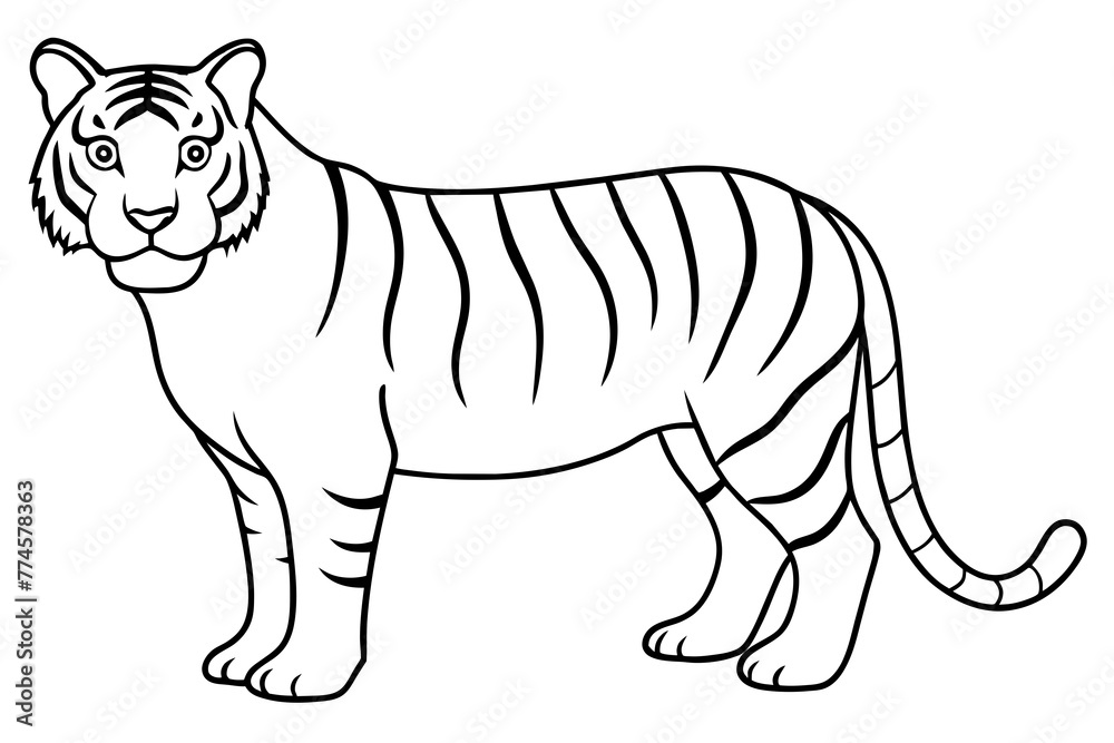 line art of a tiger