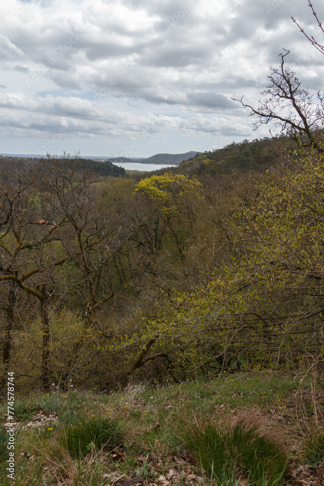 View from the top of the mountain.