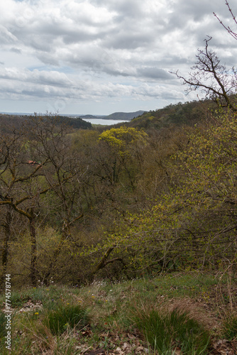 View from the top of the mountain.