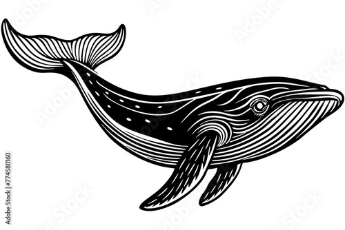 humpback silhouette vector illustration