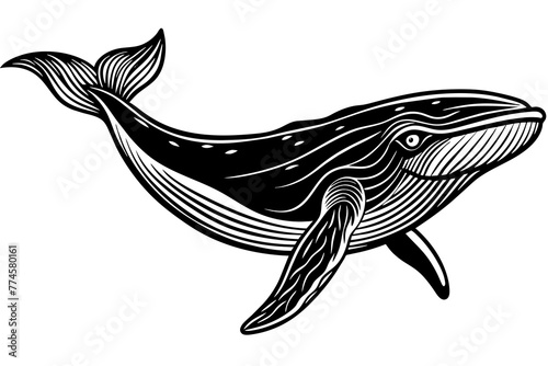 humpback silhouette vector illustration