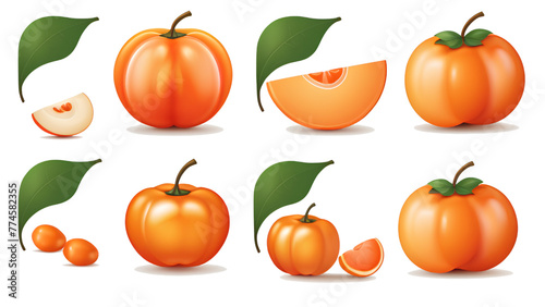 fruit kesemek icon sheet vector illustrator