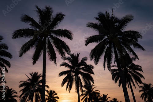 Palm tree silhouettes against sunset sky  tropical evening ambiance