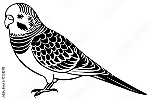 budgerigar silhouette vector illustration