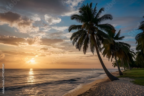 Seaside landscape with sunset and palm trees on the beach photo