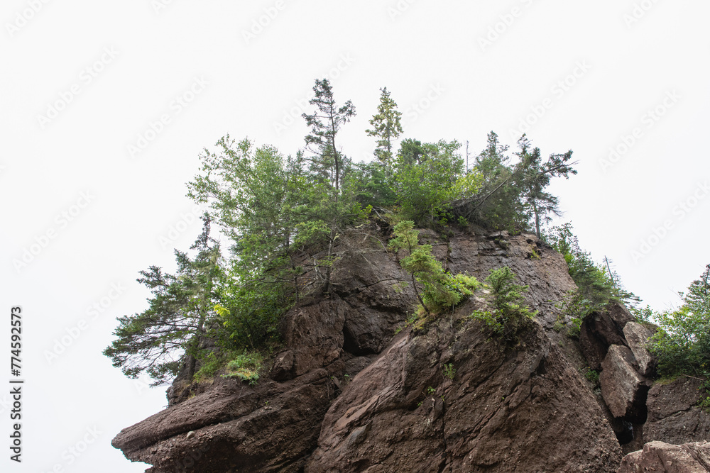 hauts rochers érodés avec des arbres au sommet lors d'une journée ennuagée d'été hauts rochers érodés avec des arbres au sommet lors d'une journée ennuagée d'été
