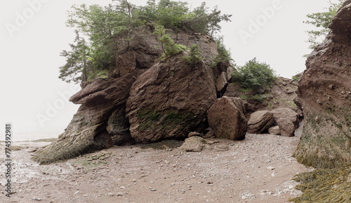 hauts rochers en bord de mer lors d'une marée basse avec des arbres au sommet et une plage de sable en avant plan photo