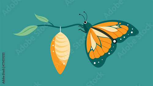 A butterfly emerging from its co demonstrating the transformative nature of bouncing back.