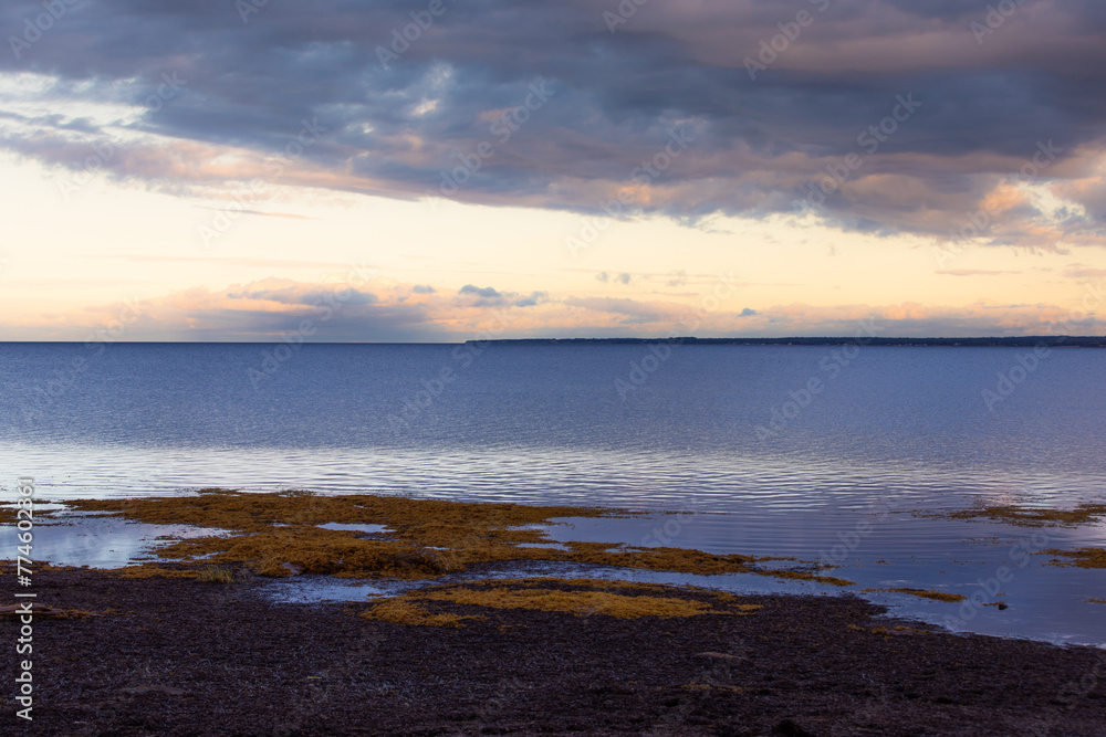 vue sur un rivage en bord de mer avec des pierres couvertes de mousse jaune en été avec des nuages dans le ciel lors d'un coucher de soleil