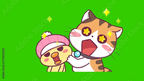 wow animation, cute cat on green screen